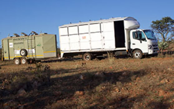 A white truck with a large box trailer parked on a dry, rocky terrain with sparse vegetation, under a clear blue sky.